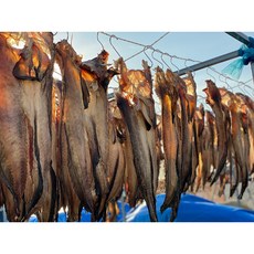 국내산 생물 특대 물메기 반건조 2마리, 특대 반건조 물메기 2마리(1.2kg)