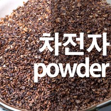 차전자가루 질경이씨앗 분말, 100g, 1개, 1개입