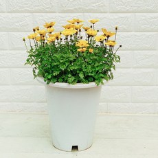 7404d67d3e524bddd757547a7120a898e49b3c8d124b5bd275f4d88c468e.jpg
