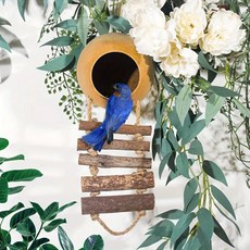사다리가 있는 코코넛 버드하우스 자연 은신처 새와 작은 동물 장난감 은둔형 게 새 그네 사다리 씹는 매달기 애완용 새장 설치류 잉꼬 다리, 1개