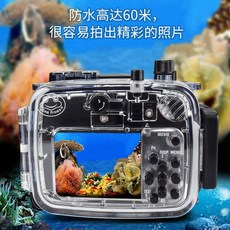 다이브 로이드 엘 플레이트 Sony 소니 RX100-6 블랙카드 카메라의 수중촬영 방수케