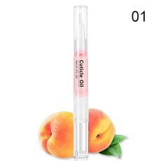 교원연수기렌탈