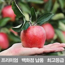 국내산 사과 10kg 프리미엄 백화점 납품 감홍 문경 시나노골드 청송 홍옥, 상세페이지 참조, 10000g