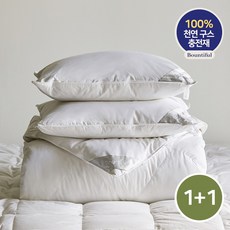 바운티풀구스1+1