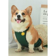 강아지 배보호대 더러움 애완견 방지 비옷 방수, 7. 오렌지 암컷 중형 9-11.5kg, 1개