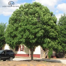 efcc85cf5b3603b9d40c9506b7daa5bca7f9aba1deec22ab57e6160da4f3.jpg