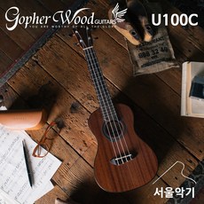 고퍼우드 U100C (M) 입문용 콘서트 통기타 마호가니