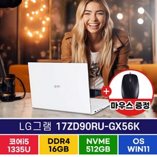 LG 2023 그램17 17ZD90RU-GX56K 노트북, WIN11 Home, 16GB, 512GB, 코어i5,