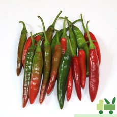 사라상회 반홍청양 0.5Kg, 1개