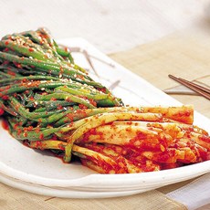 파김치 파김치추천 맛좋은 실파김치 대파김치 쪽파김치 5kg, 1박스