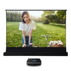 비비드스톰스크린