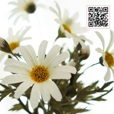 1578dedc5c81e0748a45de5a3f3ea9e5853b65405464f86d1d46fed1e68a.jpg