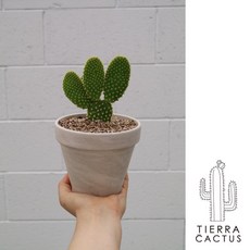 전자파차단모자