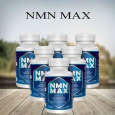 NMN MAX 500mg 120정 Non-GMO NO글루틴 비건 (미국직송 관부가세포함), 6통, 120캡슐