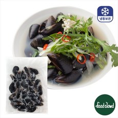 손질 세척 가정용 자숙 피홍합 홍합, 1개, 500g
