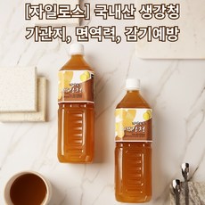 문경몰 자일로스 생강청 원액 1000ml 국산 100% 선물세트, 생강청원액 1000ml 1병 손잡이박스