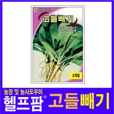 헬프팜 고들빼기 5000립 씨앗 종자 그린하트바이오, 1개