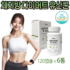 옵션선택) 지엘핏 다이어트 유산균 지엘피 원 1/ 체지방 감소 가르시니아 다이어트 유산균 식약처인증 HCA 여성 남성 다이어트 보조제 프로바이오틱스 장건강