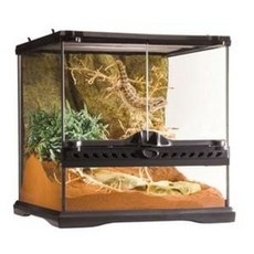  엑소테라 EXO-TERRA 303030 (파충류사육장 파충류채집통 엑소테라사육장 엑소테라채집통 채집통) 