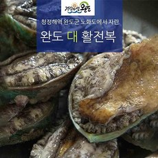 완도 대 활전복 22미, 22개