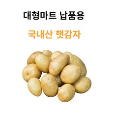 2023년 수확 국내산 감자 햇감자 수미감자 타박감자 강원도감자 3kg 5kg 10kg, 1개, 왕특사이즈(요리용), 2kg