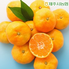 제주농협