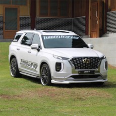 팰리세이드에어댐