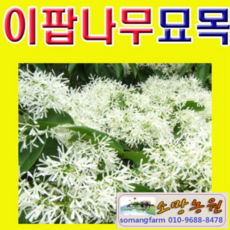 3a06eba3fc74b160e38e2e55b019ddf270c86827ceeba0637d8beb01aba1.png