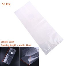 식물사전선인장