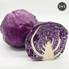 국내산 유기농 적양배추(적채) 2kg, 4개, 1kg