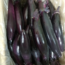 일등야채 (특) 가지 4개, 4개입