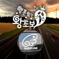 아트박스/제제데코 P_초보 영혼없는 왕초보 반사+주유구날개좌측 가솔린W, 1개