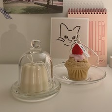 캔들유리돔