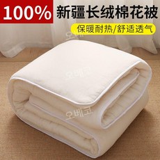  명주 솜이불 두꺼운 겨울 먼지없는 수면 사계절 요 