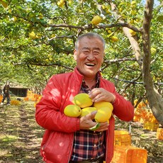 [산지직송] 안동 배영태님의 향기가득 모과 3kg