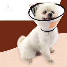 리워샵 애견 애묘 넥카라 강아지깔때기, 7호