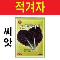 적겨자잎