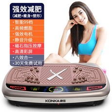 캉자이 벨트 마사지기 떨림기 다이어어트 신기 와이드 큰 슬림핏 복부 보정 전신 운동 다리 압박 기구, 강력한효과 다이어어트 /골드 /8 0