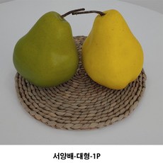 서양배모형
