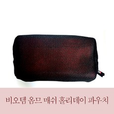 비오템옴므파우치