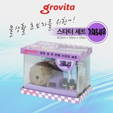 가재키우기