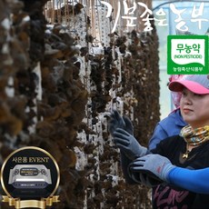 기분좋은농부 청정지역 (산지직송) 친환경 무농약 최상급 국내산 생 목이버섯 500g 1kg 2kg 건조 목이버섯 100g 200g+사은품 증정, 1박스, 생목이버섯 1kg