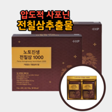 4개월분 노토진생 전칠삼 1000 삼칠삼, 150g, 2개