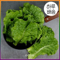 잎로메인2kg