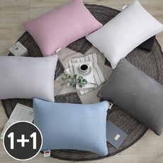 아토앤알로 1+1 피그먼트워싱 3D메쉬 양면베개 일반형 50x70 레귤러 마이크로화이바 초극세사 진드기방지 베개솜 5color, 차콜