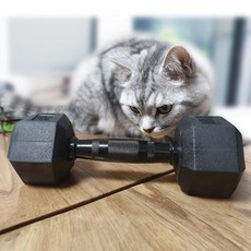 바디엑스[낱개]육각아령고무덤벨 블랙그립, 12KG 1개