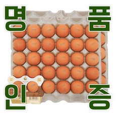 KB farm 계란 명품인증 무항생제 달걀 왕란 30구