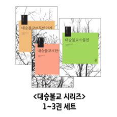 대승불교의성립폴윌리엄스