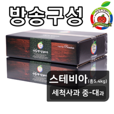 [방송구성] 스테비아 산들앤 달코미 스테비아 세척사과 2 box(총 5.4kg) 중-대과, 2박스