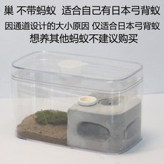 개미사육장 애완용 여왕개미 키우기 곤충 관찰 놀이, 단일선택